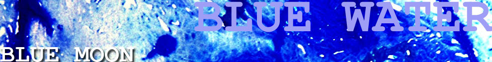 Blue Moon - Heike Schmidt - Blue Water