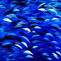 Ohne Titel - Blue Moon