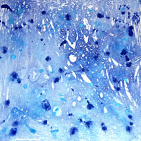 Blue Water - Blue Moon