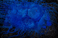 Dreamworld 2 -  Blue Moon