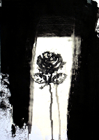 Rose - Michael Schmidt Stuttgart