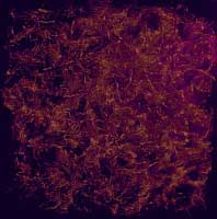 Is this the end? / Michael Schmidt Stuttgart