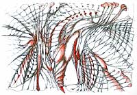 Catwalk- Michael Schmidt Stuttgart