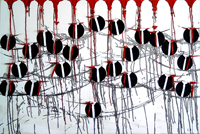 Chor der rasierten Engel - Michael Schmidt Stuttgart - Chorus of the shaven angels