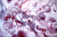 Galaxie / Michael Schmidt Stuttgart / Galaxy