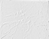 Weiße Strukturen - Michael Schmidt Stuttgart - Weiße Strukturen