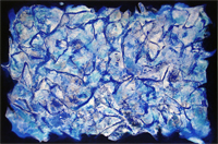 Blau Weiss - Michael Schmidt Stuttgart - Blue White